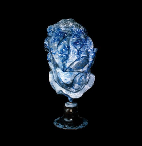 La fleur bleue de la montagne